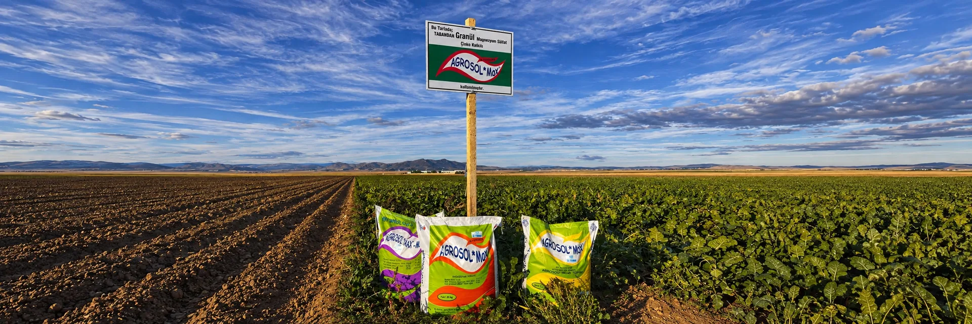 AGROSOL Max ile geniş tarla panoraması
